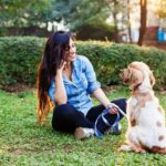 What Food to Use to Train a Dog Image of a treat-filled training pouch with a variety of dog-friendly foods for effective dog training