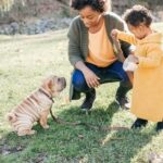 How to Fully House Train a Dog How to fully house train a dog: Step-by-step guide for effective and successful training