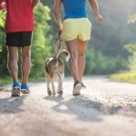 Appropriate age for dog trick training varies, but generally begins around 6 months old