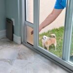 What Is the Proper Techniques for Leash Training a Dog Leash-training a dog: Learn the proper techniques for successful leash training in dogs