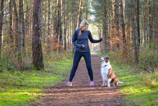 A smiling woman teaching a puppy to use a dog-friendly litter pad. (HOW TO TRAIN YOUR DOG TO GO TO THE BATHROOM)