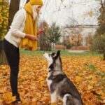 Step-by-step guide: How to train your dog to be gentle in 5 easy steps