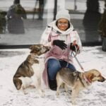 Step-by-step guide for becoming a trainer for service dogs in just a few easy steps