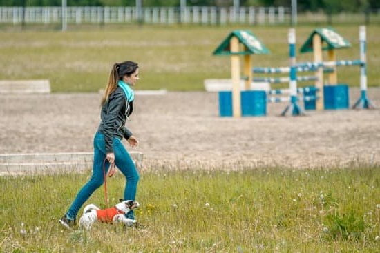 How to Potty Train Breeder Dog 1 Step-by-step guide on how to potty train your breeder dog effectively