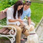 Effective Strategies: Training a Dog to Coexist Peacefully with Cats