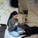 How to Train Dog to Listen to You Step-by-step guide on how to train your dog to listen to your commands effectively