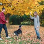 Step-by-step guide: Potty training tips for my one-year-old dog