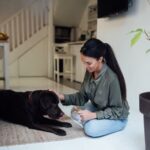 How to Make a Button Training Dogs Step-by-step guide on how to make a button training device for dogs