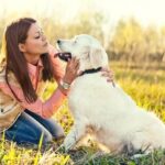How Do You Train a Dog to Stay With You Steps for teaching a dog to stay with you during walks and training sessions