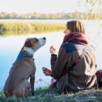 How to Train Your Dog to Stay Off the Couch Training your dog to stay off the couch: Step-by-step guide for a well-behaved pup