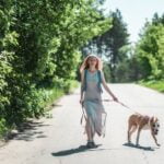 How Much Is Potty Training for Dogs How much is potty training for dogs Cost, time, and tips for success