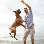 How to Train Your Dog to Watch Tv Step-by-step guide on how to train your dog to watch TV with positive reinforcement