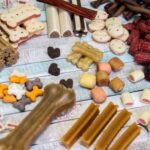 How to Leash Train a Wild Dog Step-by-step guide: How to leash train a wild dog