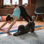 How to Train an Older Dog to Stay Off Furniture Training an older dog to stay off furniture: positive reinforcement and consistent commands for successful results