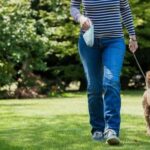 Is a 5 Year Old Dog Too Old to Train Training a 5-year-old dog Tips for success with older pets