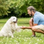 Cost of training a service dog varies, typically $15,000 - $30,000