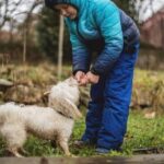 How to Train a Dog to Follwo a Scent Step-by-Step Guide for Training a Dog to Follow a Scent Trail