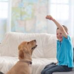 Step-by-step guide on how to potty train a wiener dog using positive reinforcement methods