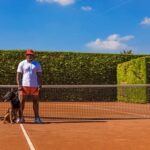 How to Train a Dog to Not Be Dog Aggressive Step-by-step guide on how to train a dog to stop being dog aggressive