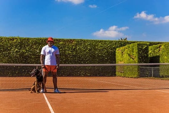 Step-by-step guide on how to train a dog to stop being dog aggressive