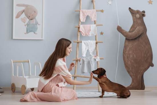 How much does a dog trainer earn in NZ: Competitive wages for skilled trainers in New Zealand