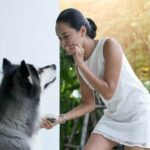 How to Train Dogs for Children How to Train Dogs for Children: Safety Tips and Techniques for a Happy Pet-Filled Home