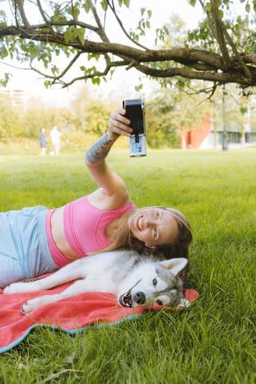 - Step-by-step guide: How to train dog for protection