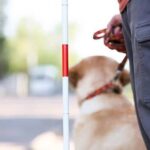 How to Train an Outside Dog Where to Poop Step-by-step guide on how to train an outside dog - Where to poop