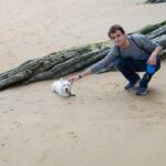 How to train your dog process essay: Step-by-step guide for effective training