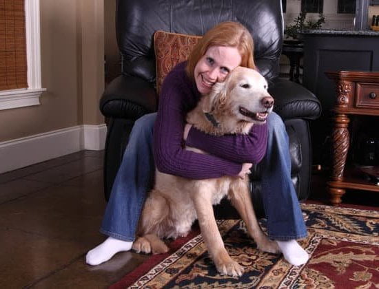 Dog training pints refer to scent training aids for canines