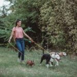 How Does Clicker Training Work With Dogs Using positive reinforcement, teach dogs desired behaviors through clicker training in a consistent, rewarding way
