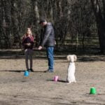 How to Train a Cat and Dog to Live Together How to Train a Cat and Dog to Live Together: Positive Reinforcement and Patience