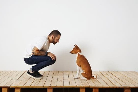 How to Train a Dog With Dominance Issues 1 how to train a dog with dominance issues