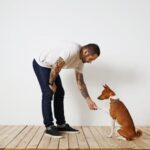 Can You Take Dogs on Trains in the Uk UK Train Travel: Guidelines for Bringing Dogs on Board