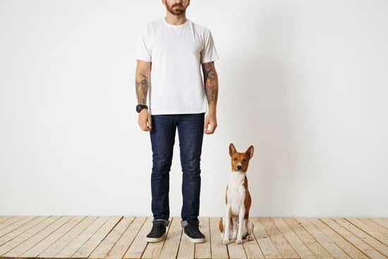 Should I Litter Box Train My Dog 1 Should I litter box train my dog: pros, cons, and tips for success