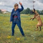 What Are Police Dogs Trained to Smell Police dogs trained to smell narcotics, explosives, and missing persons
