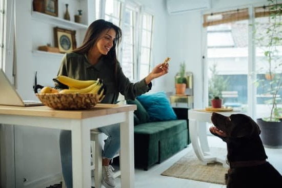 How to Train a Dog to Attack: WikiHow's Step-by-Step Guide