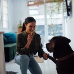 How to Get Into Protective Dog Training Learn effective techniques for how to get into protective dog training and building a strong bond