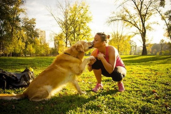 Effective Dog Training: Teach 'How to Train Your Dog to Stop Barking on Command' with Positive Reinforcement