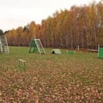 Step-by-step guide on how to train dogs to pee outside by himself