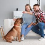 Training a Dog to Avoid Leg-Lifting Behavior