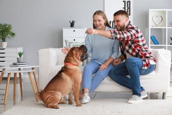 Training a Dog to Avoid Leg-Lifting Behavior