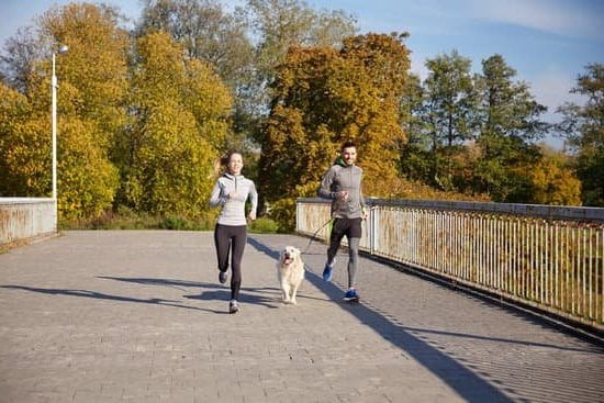 Why Are Dogs Trained Easier Than Cats 1 Natural instincts make dogs easier to train than cats, but patience and consistency are key. WHY ARE DOGS TRAINED EASIER THAN CATS