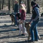 Reasons for Accidents: Why Does a Potty Trained Dog Pee Inside