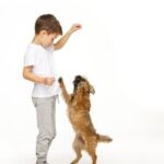 How to Potty Train a Dog That Has Been Abused Step-by-step guide on how to potty train a dog that has been abused