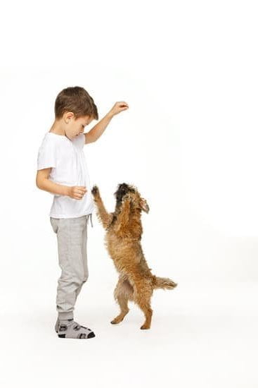 How to Potty Train a Dog That Has Been Abused 1 Step-by-step guide on how to potty train a dog that has been abused