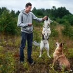 How to Train Your Dog Quickly Efficient Dog Training Guide: How to Train Your Dog Quickly in 4 Weeks