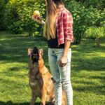 How to House Train Your Dog With a Clicker Step-by-step guide on how to house train your dog with a clicker for effective training