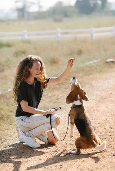 Step-by-step guide on how to litter train your dog for success