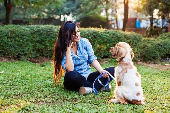 How Much Training Does a Dog Need: Finding the Right Amount of Instruction for Your Pet